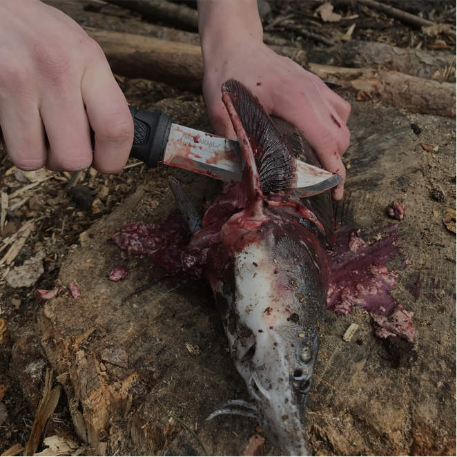 pozyskanie-pozywienia-survival
