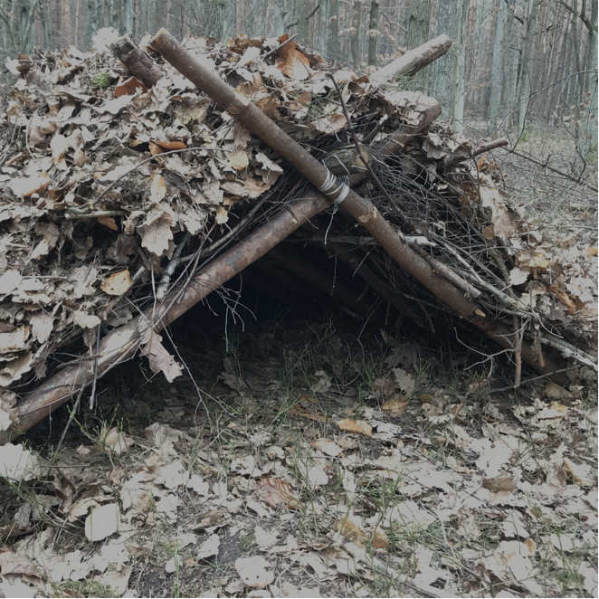 budowa-schronienia